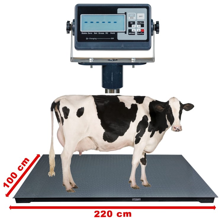 Waga inwentarzowa HE 1x2,2m 3t/1kg BW 1