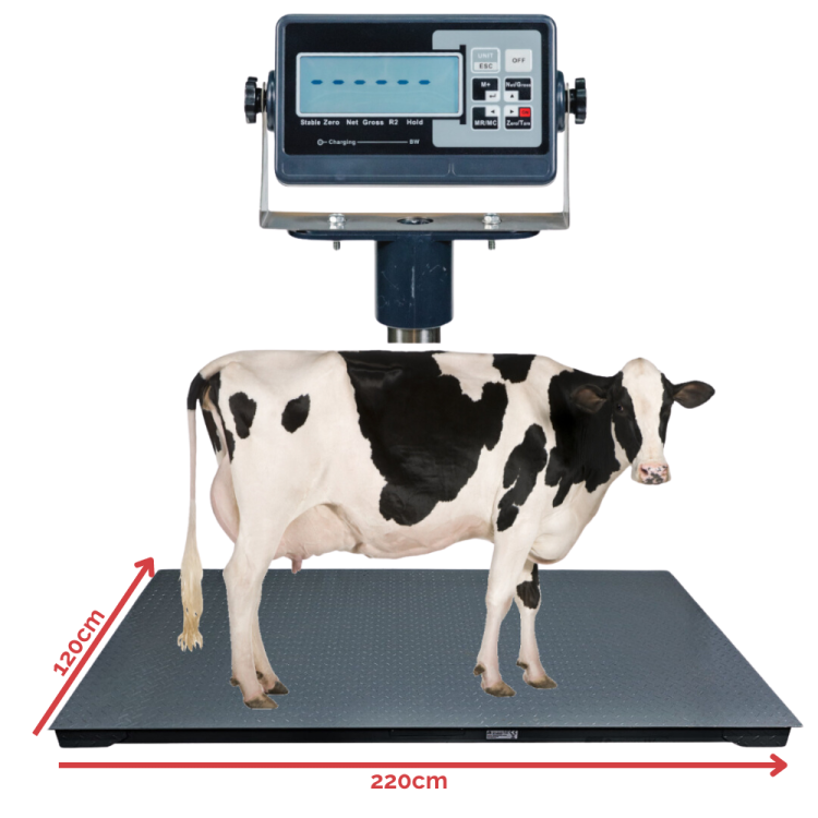 Waga platformowa z legalizacją BW [1,2x2,2m] 1