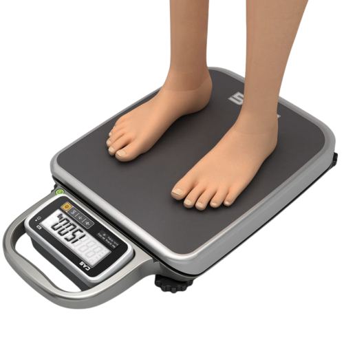 PB Legalizowana waga pomostowa CAS [30/60kg-10/20g][44,3x33,5cm]  2