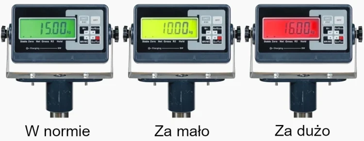 BW+C 150 Legalizowana waga magazynowa SATIS [60/150kg] [40x50cm] 3