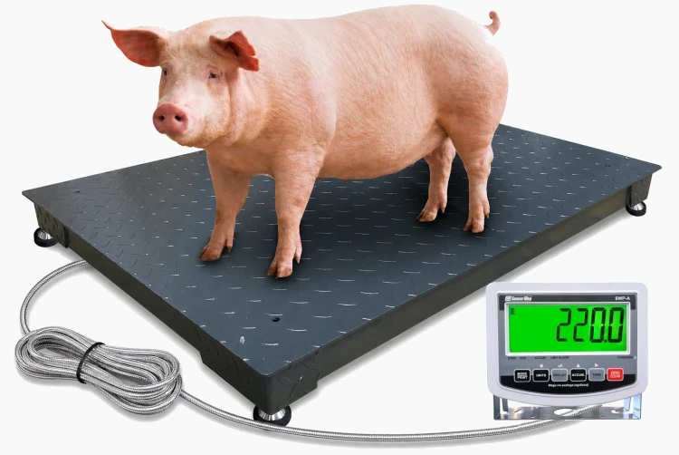PLATFORMA DLUGA KABEL MIERNIK SWPA.webp