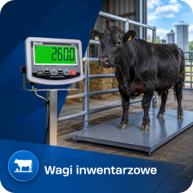 wagi inwentarzowe